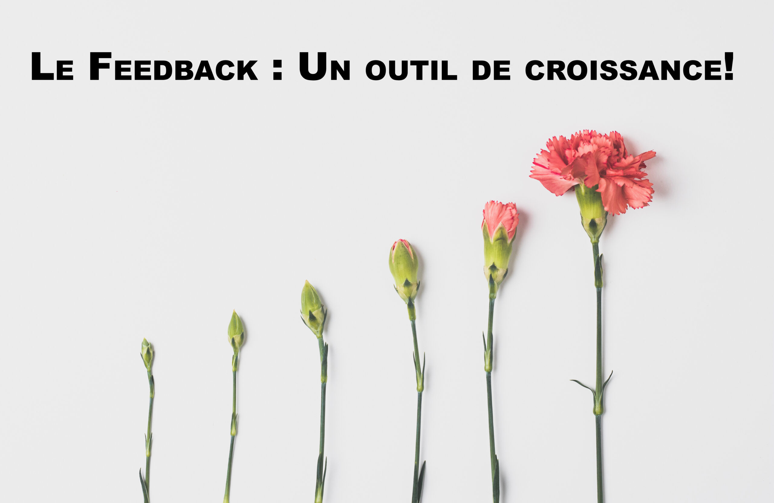 La formule qui va te donner le courage d’offrir du feedback à tes collègues!